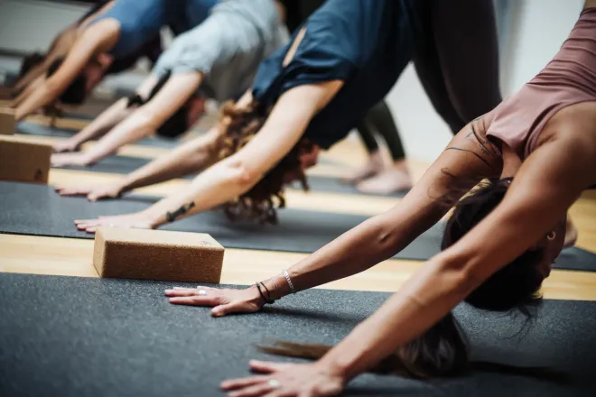 Yoga Basics |  LEVEL 1 | STUDIO ONLY | Eimsbüttel